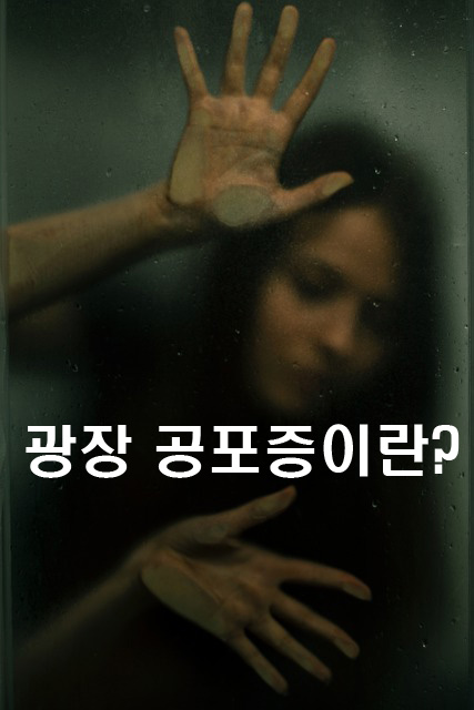  광장공포증이란 무엇인가? (ft. 우먼 인 윈도)