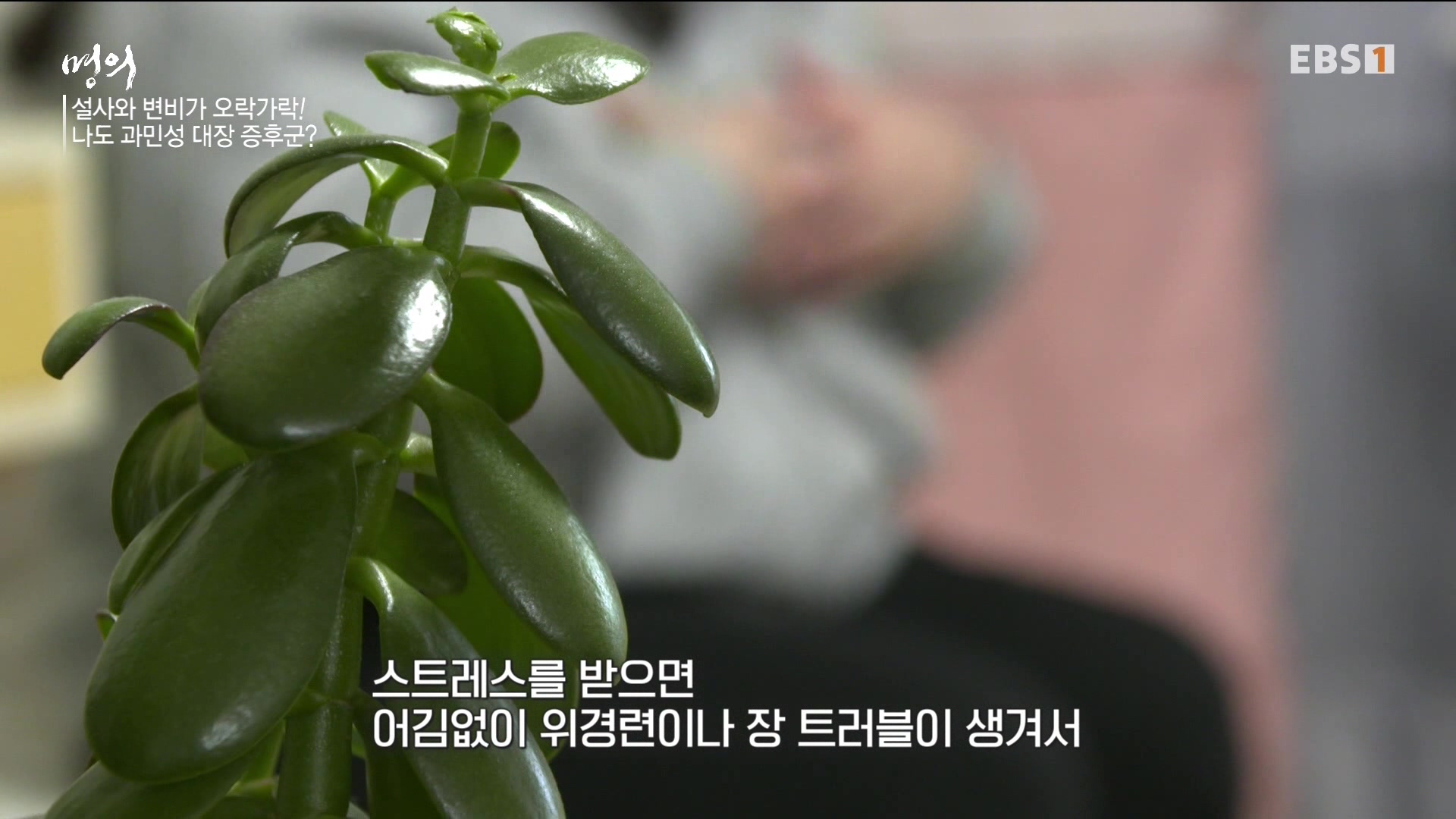 잘 먹고 잘 싸는 법 240323.mp4_20240324_172819.556.jpg
