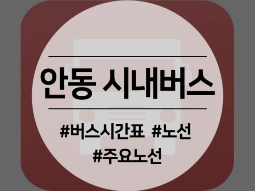  안동 시내버스 시간표, 노선 안내, 월영교 가는 버스