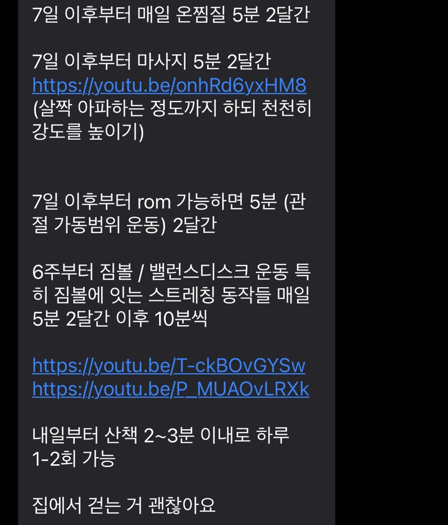 골든리트리버 가격 골든리트리버 십자인대 파열 수술 후기/가격 7