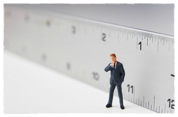  주식 초보 주식 투자 어떻게 해야 할까?: 포트폴리오 관리,감독