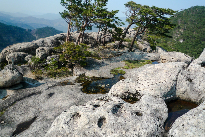 마늘로드 한국 명산 강원 삼척 명산 쉰움산 등산 mountain hiking