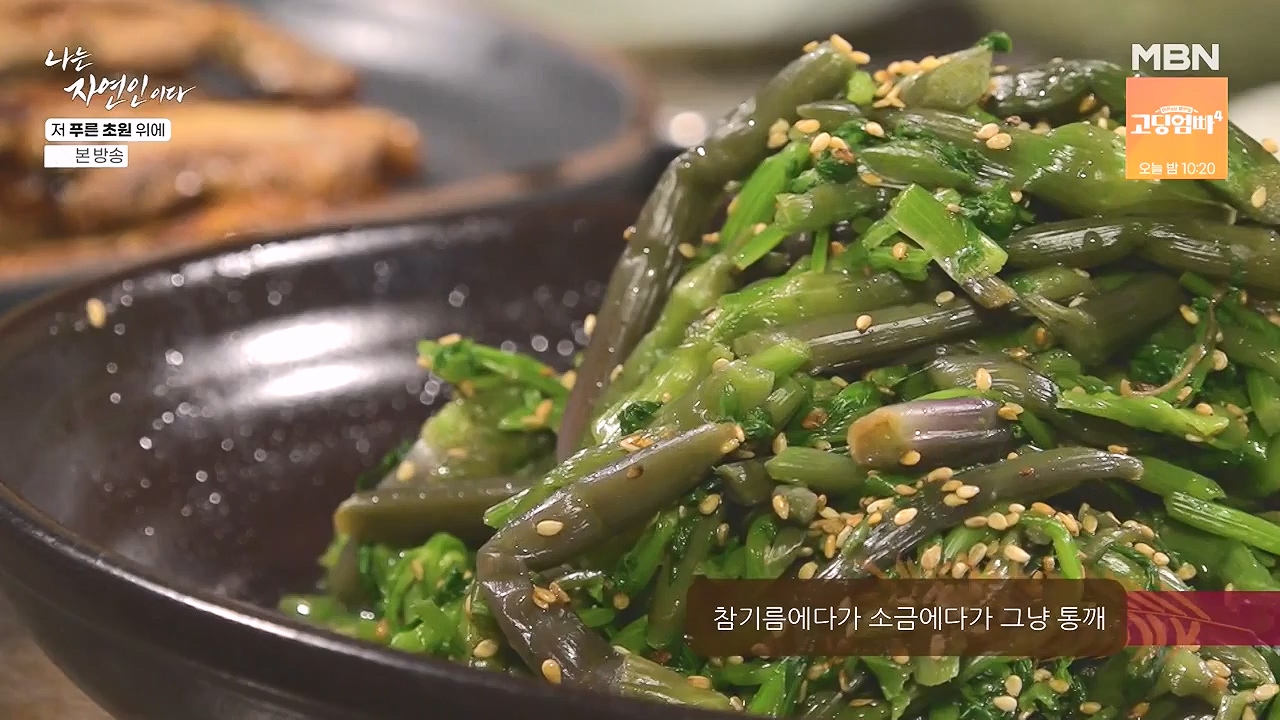 나는 자연인이다.E607.240530p-NEXT.mp4_20240530_200526.387.jpg