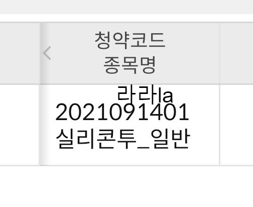 실리콘투 공모주 일반청약 배정결과 경쟁률 상장 예정일 실리콘투 공모주 일반청약 배정결과 경쟁률 상장 예정일