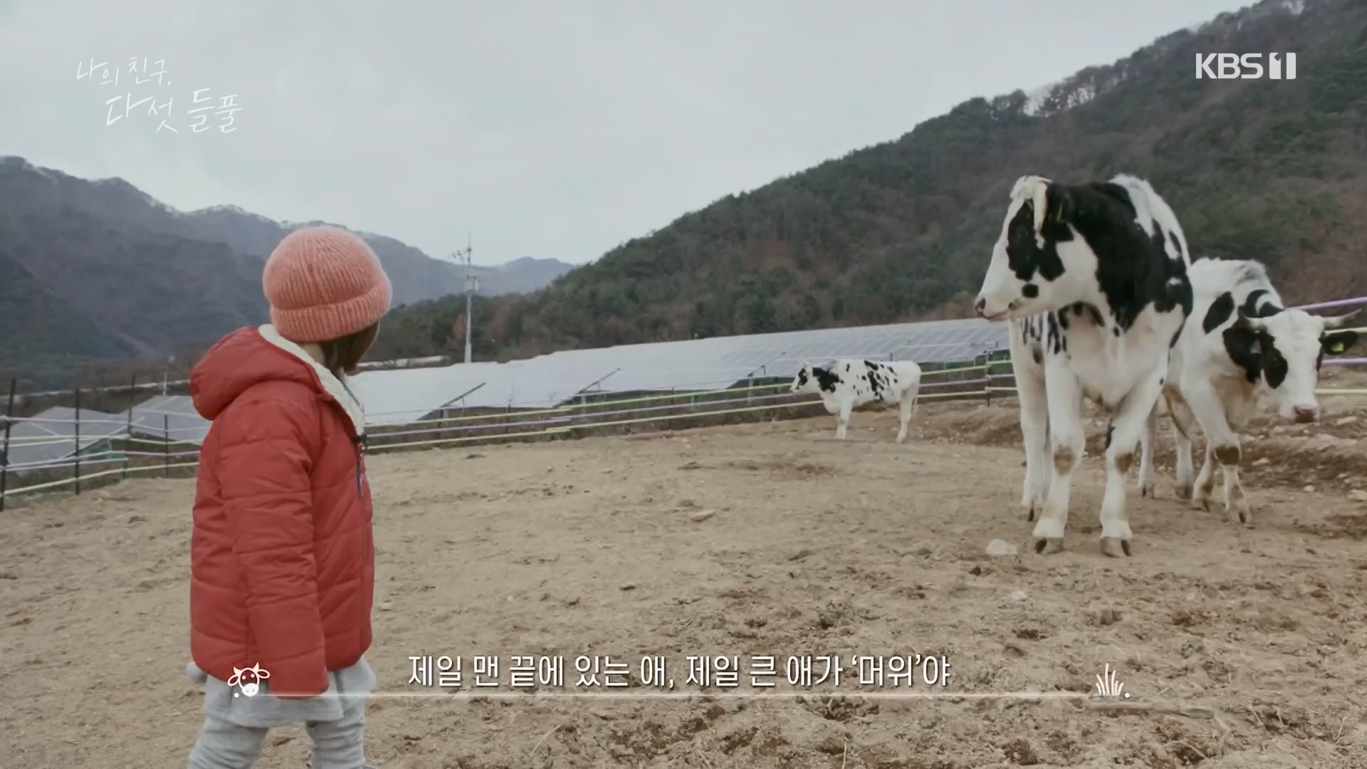 특집 다큐 나의 친구, 다섯 들풀.240119p.H264-F1RST.mp4_20240121_151731.849.jpg