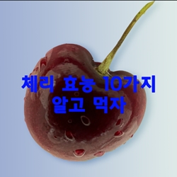  체리 효능 10가지 알고 먹자