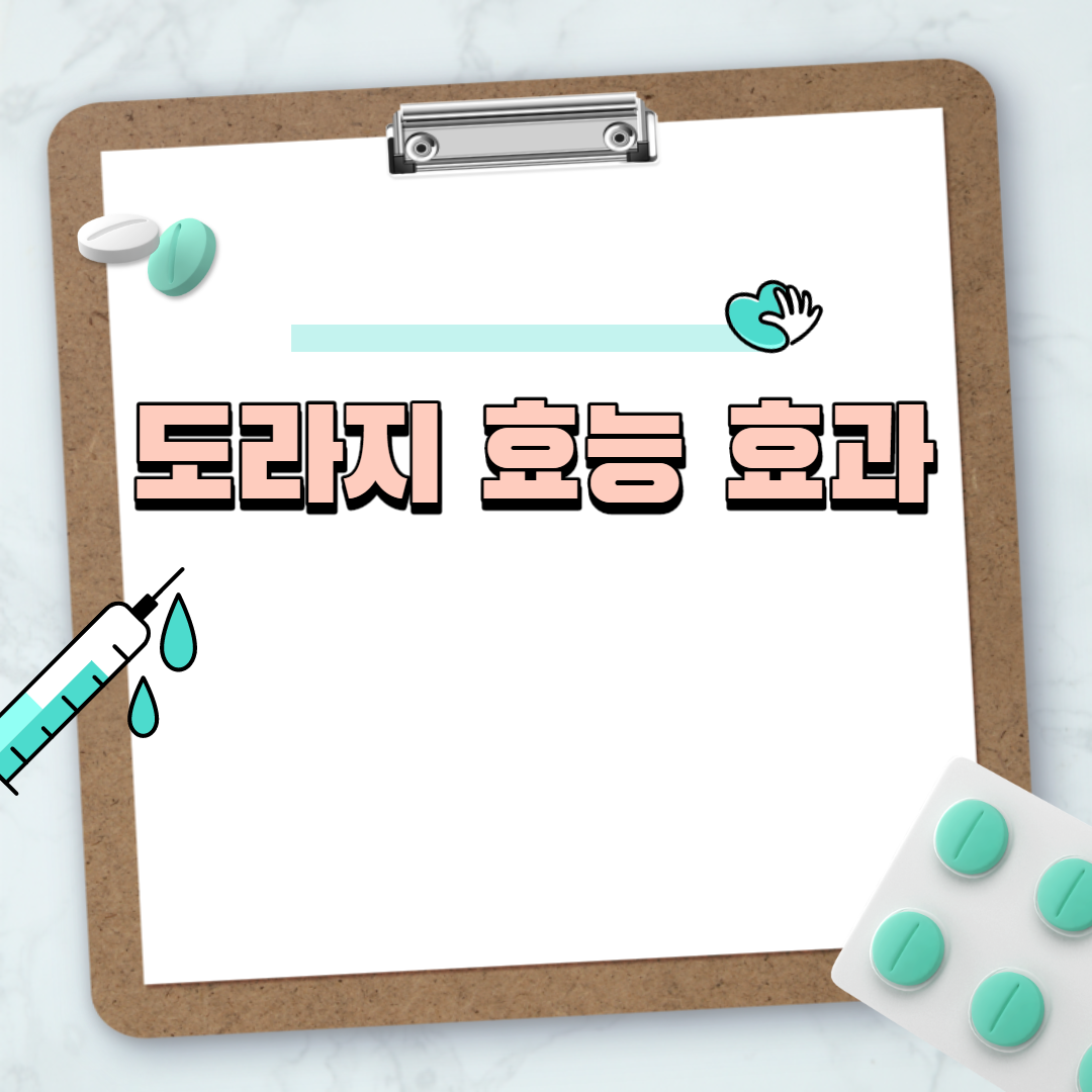  도라지 효능 효과
