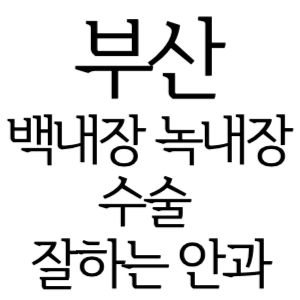 부산 백내장 녹내장 수술잘하는곳 안과 병원 추천 5곳 수술 가격 비용 치료 증상 좋은음식 수술 후 주의사항 알아보기