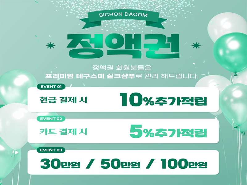 1.1 비숑다움의 미용 서비스