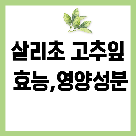 살리초 고추잎 효능&#44; 영양성분