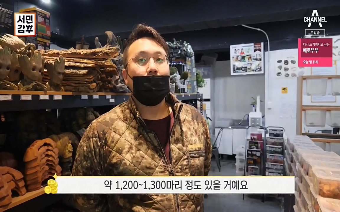 서민 갑부.E381.220431p-NEXT.mp4_20220501_174018.975.jpg