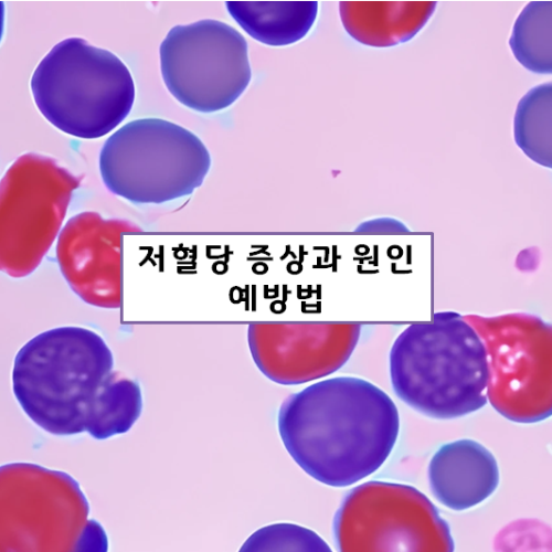 저혈당-증상과-원인-예방법