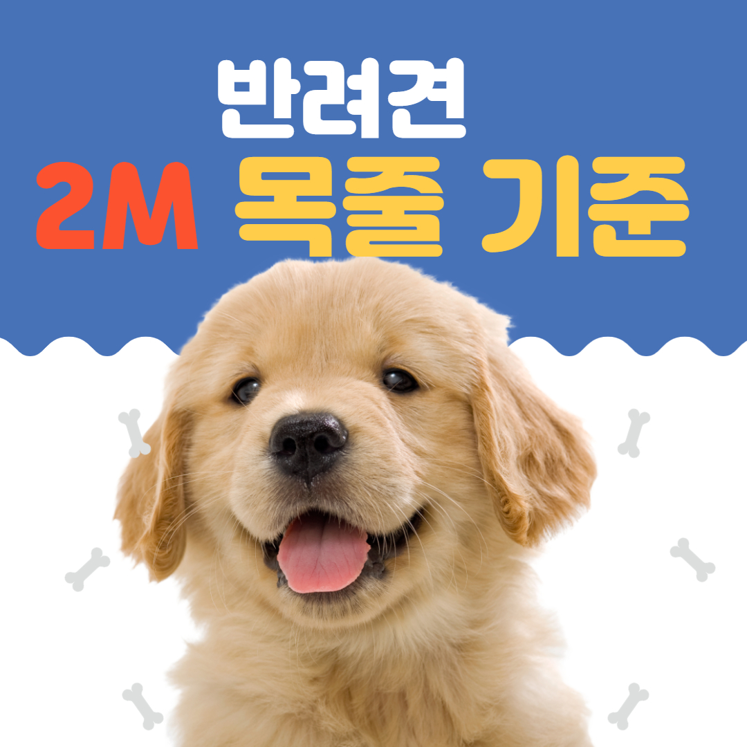 반려견 목줄 2m 위반 기준 과태료 등 바뀐 동물보호법 시행규칙 정리