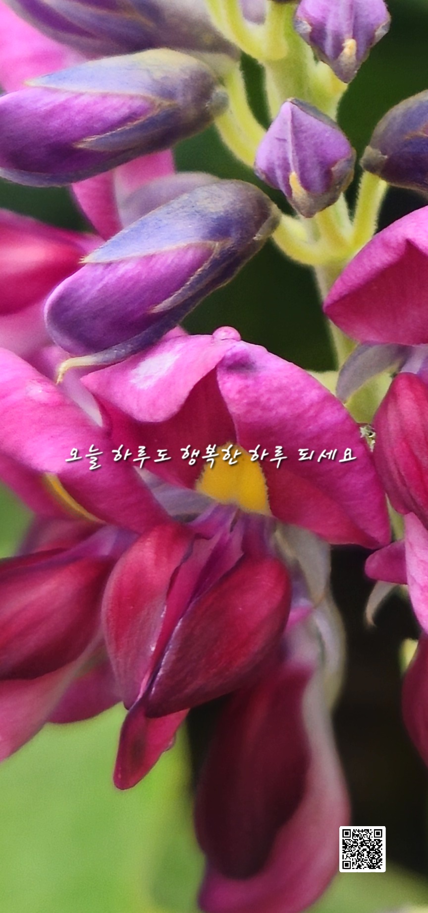 화요일 이미지