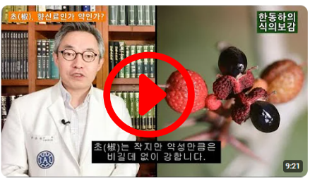 향신료인가 약인가?