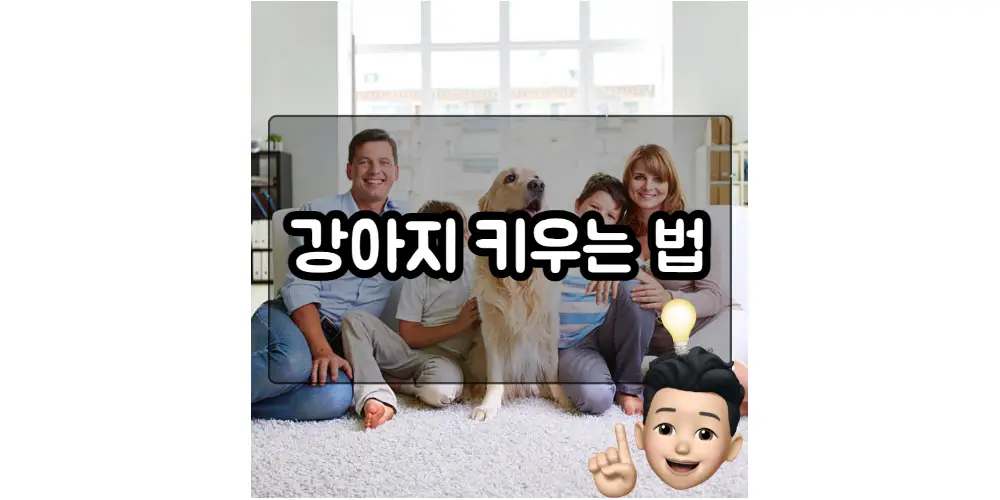  새끼 강아지 키우는 법 아파트 강아지 강아지 푸들 포메라니안