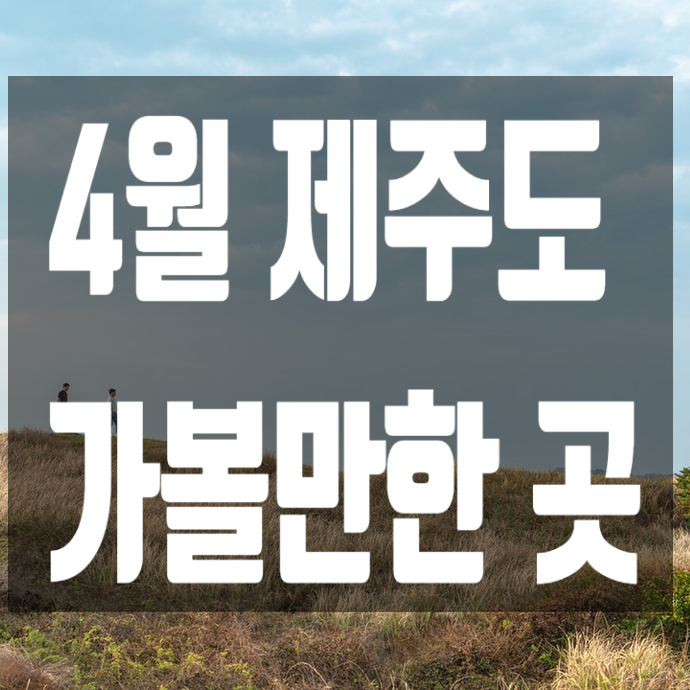  4월 제주도 가볼만한곳 여행의 아름다움