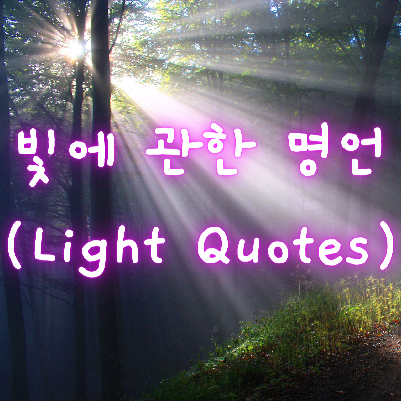 빛에 관한 명언 (Light Quotes)