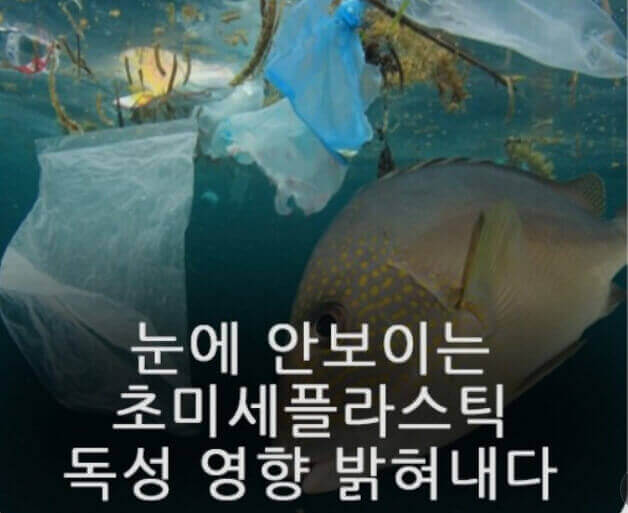  초 미세 플라스틱을 줄이지 않으면 각종 암, 뇌 질환, 면역 질환 위험