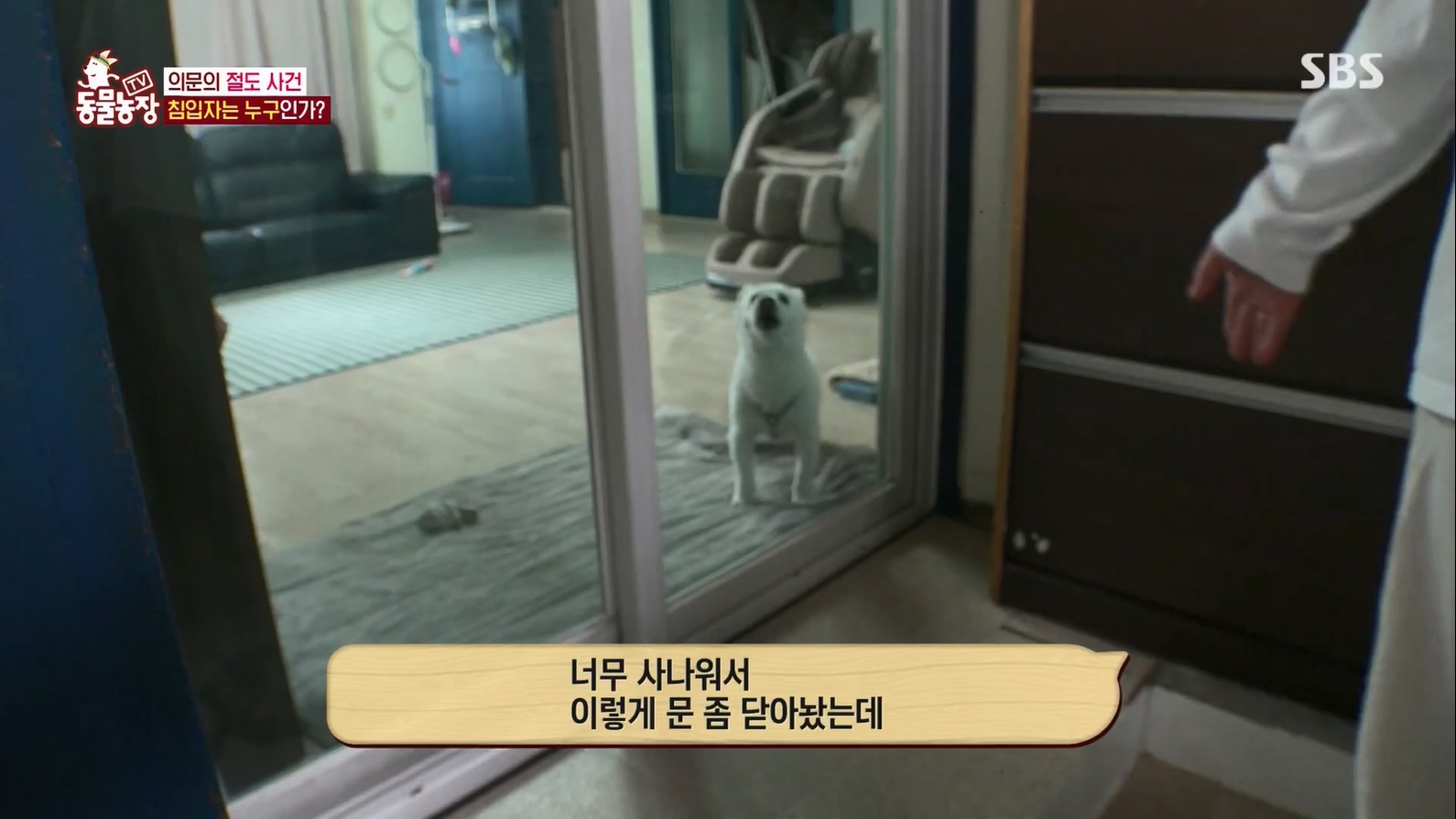 TV 동물농장.E1127.230702p.H264-F1RST.mp4_20230704_212702.109.jpg