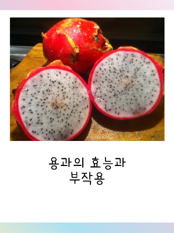  용과 효능 그리고 부작용
