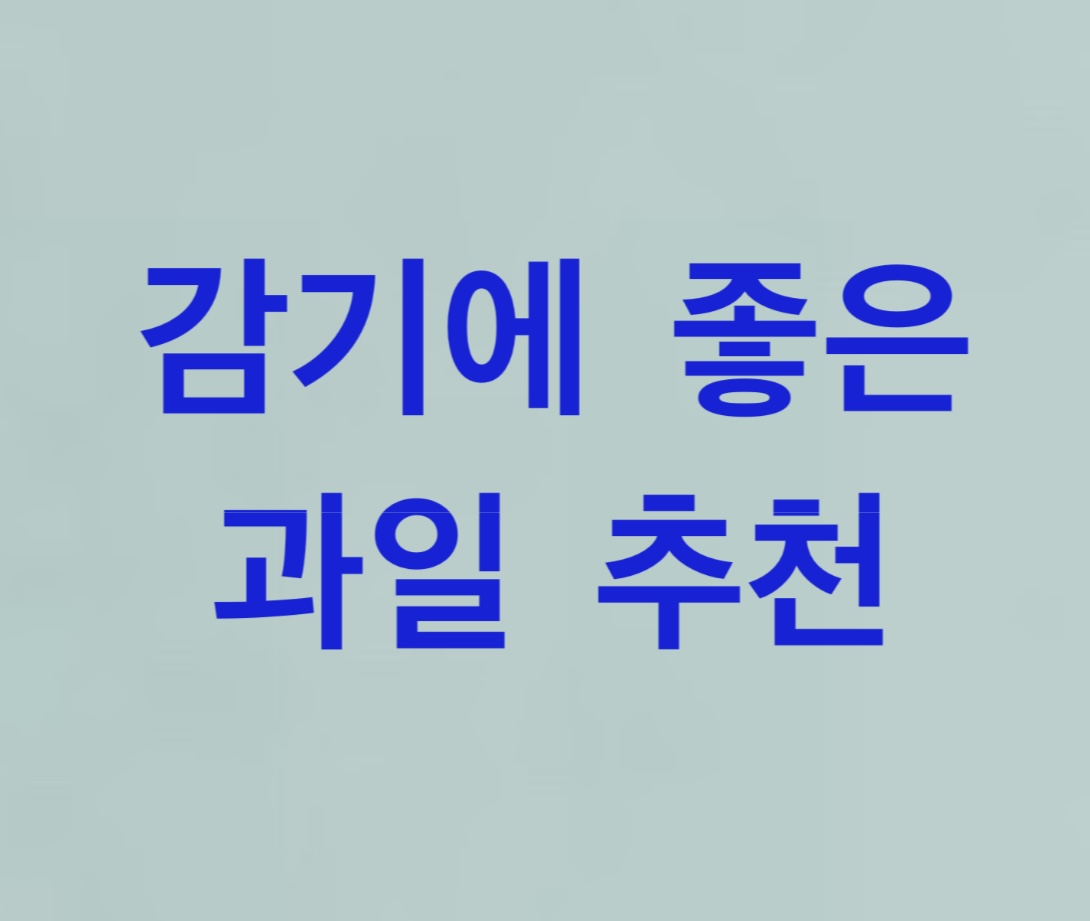  감기에 좋은 과일 추천