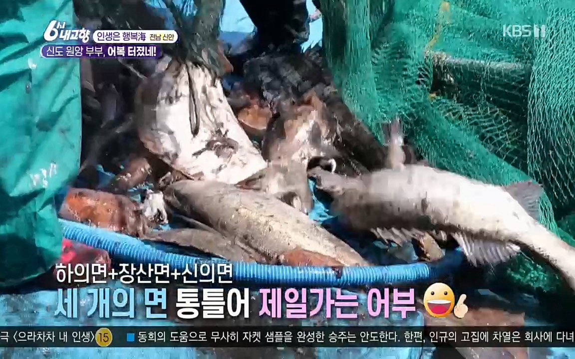 6시 내고향.E7518.220426p.H264-F1RST.mp4_20220504_192401.438.jpg