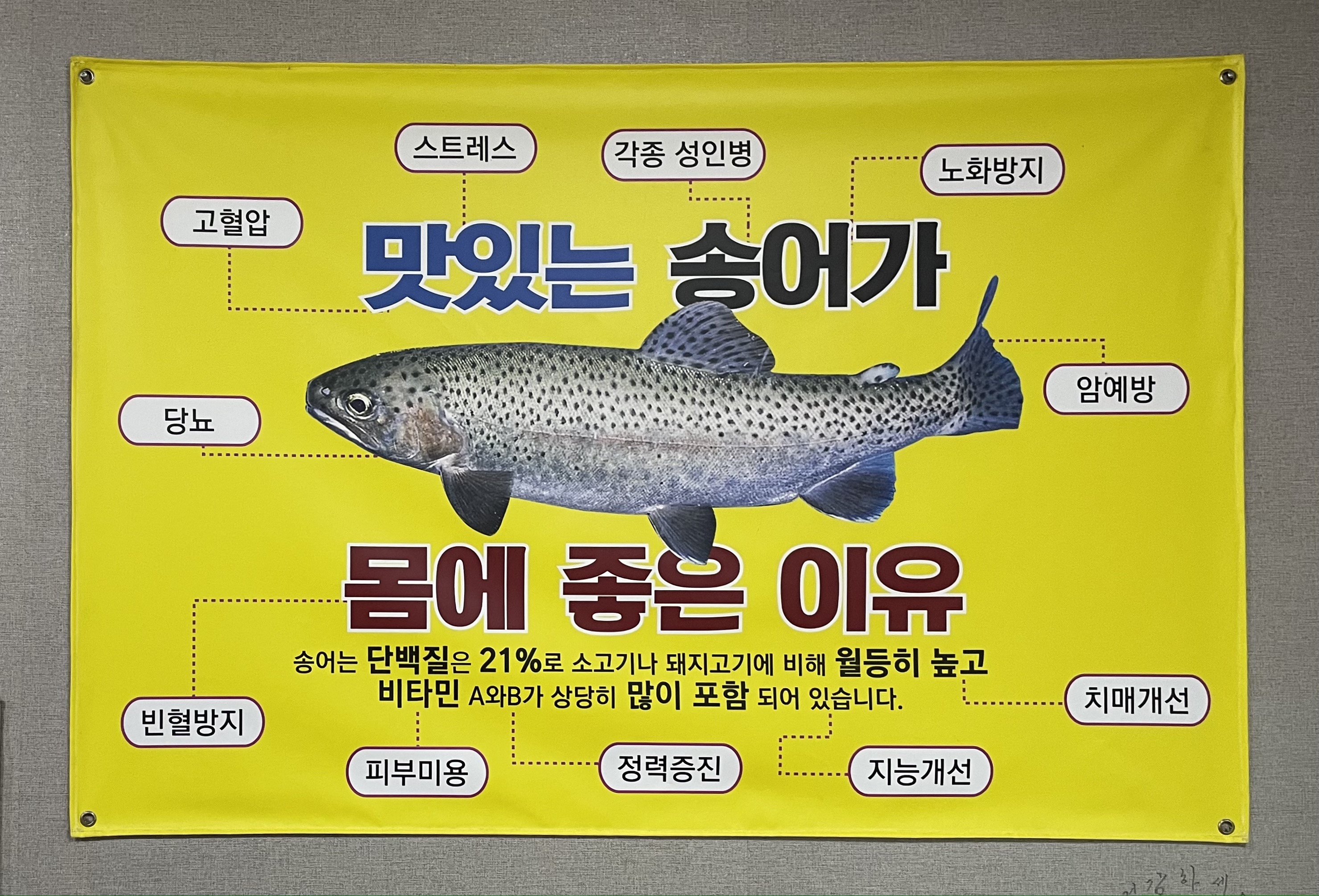 덕유산 송어회 10