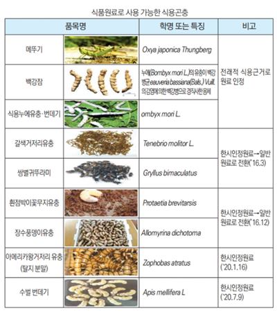  국내 식용곤충 10가지