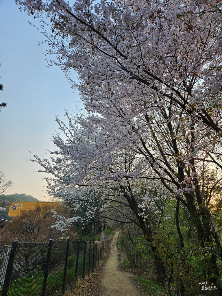 우면산 등산길