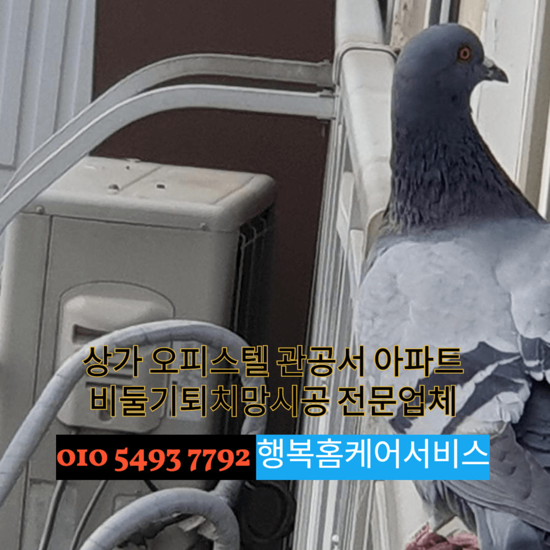 상가 오피스텔 관공서 아파트
비둘기퇴치망 시공 전문업체