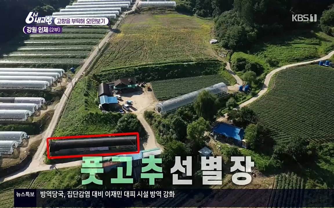 6시 내고향.E7602.220824p.H264-F1RST.mp4_20220825_171309.456.jpg