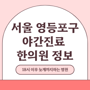 서울 영등포구 야간진료 한의원 병원 (18시 이후 늦게까지하는 병원)