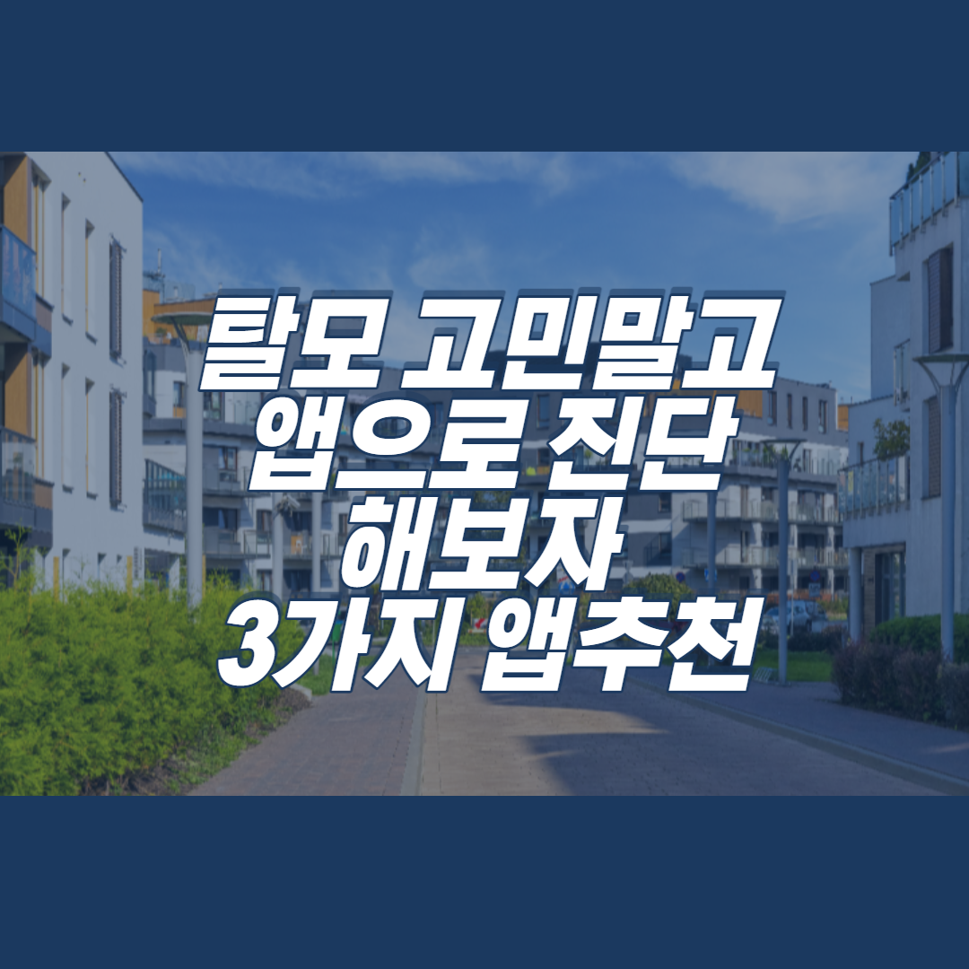  탈모 고민말고 진단해보자 어플 3가지 추천