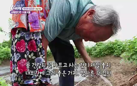 [7613회] 6시 내고향 - KBS7613회] 6시 내고향.ts_20220913_205419.980.jpg
