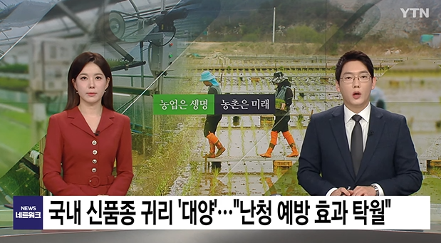 대양슈퍼 이미지