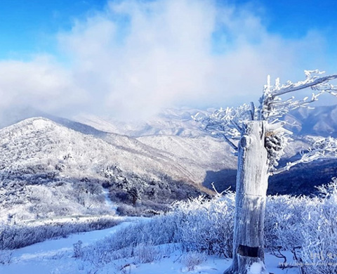 태백산