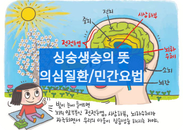 싱숭생숭할때대처