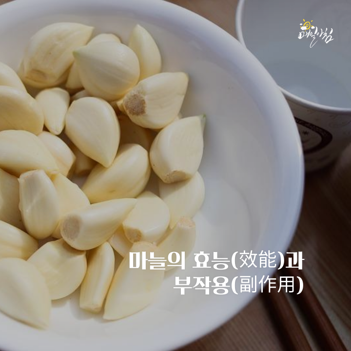  [매일아침좋은글] 마늘의 효능(效能)과 부작용(副作用) 알고 드세요!