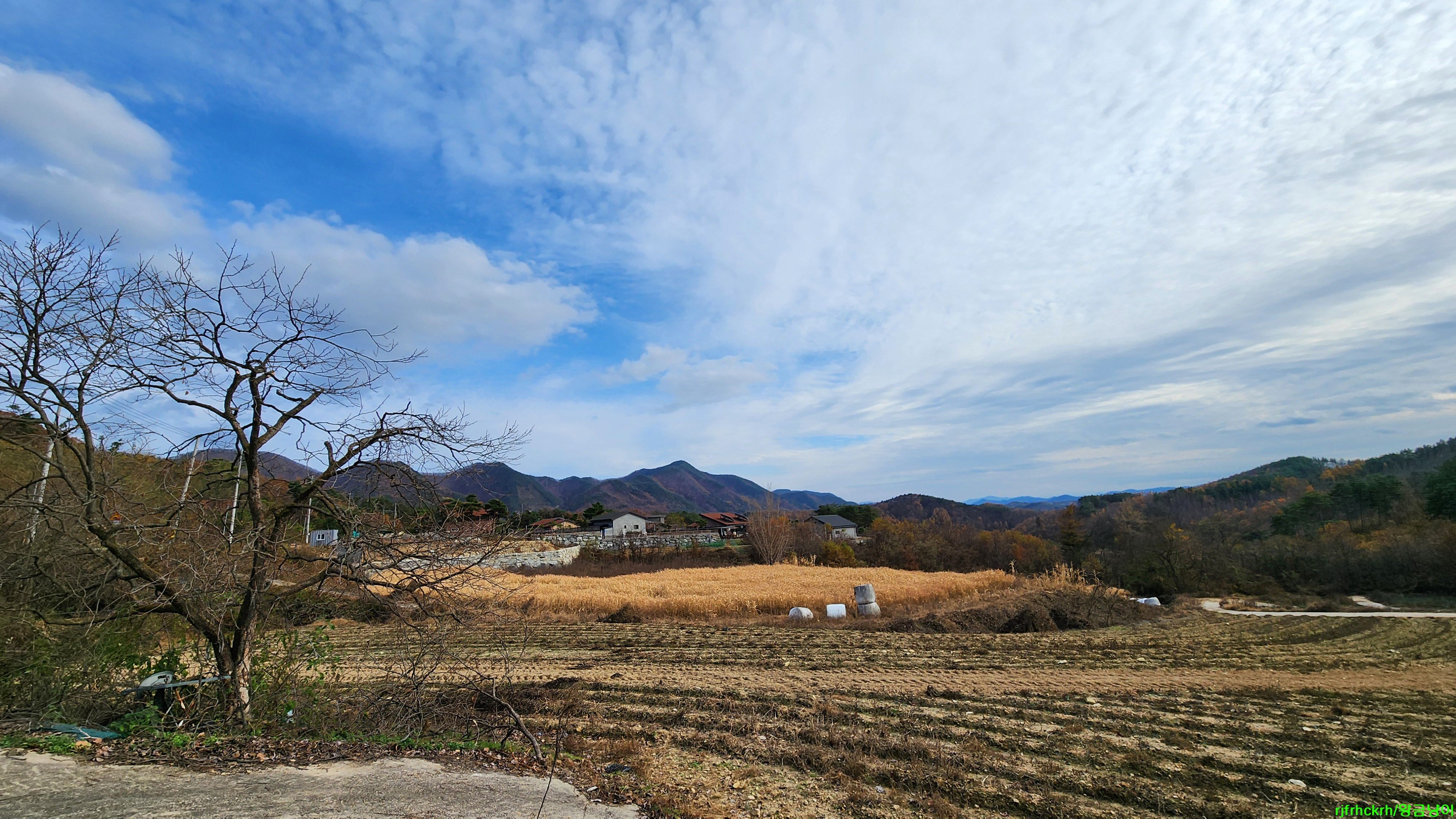 Byeolbeopwanghaemuljjim,tang (별법왕해물찜,탕) 2