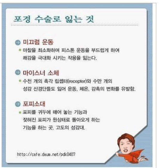  충격적인!!  포경 수술 하면 잃는 것들