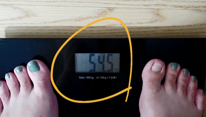 저탄고지 다이어트 식단 일주일 만에 2kg 감량했습니다. 17
