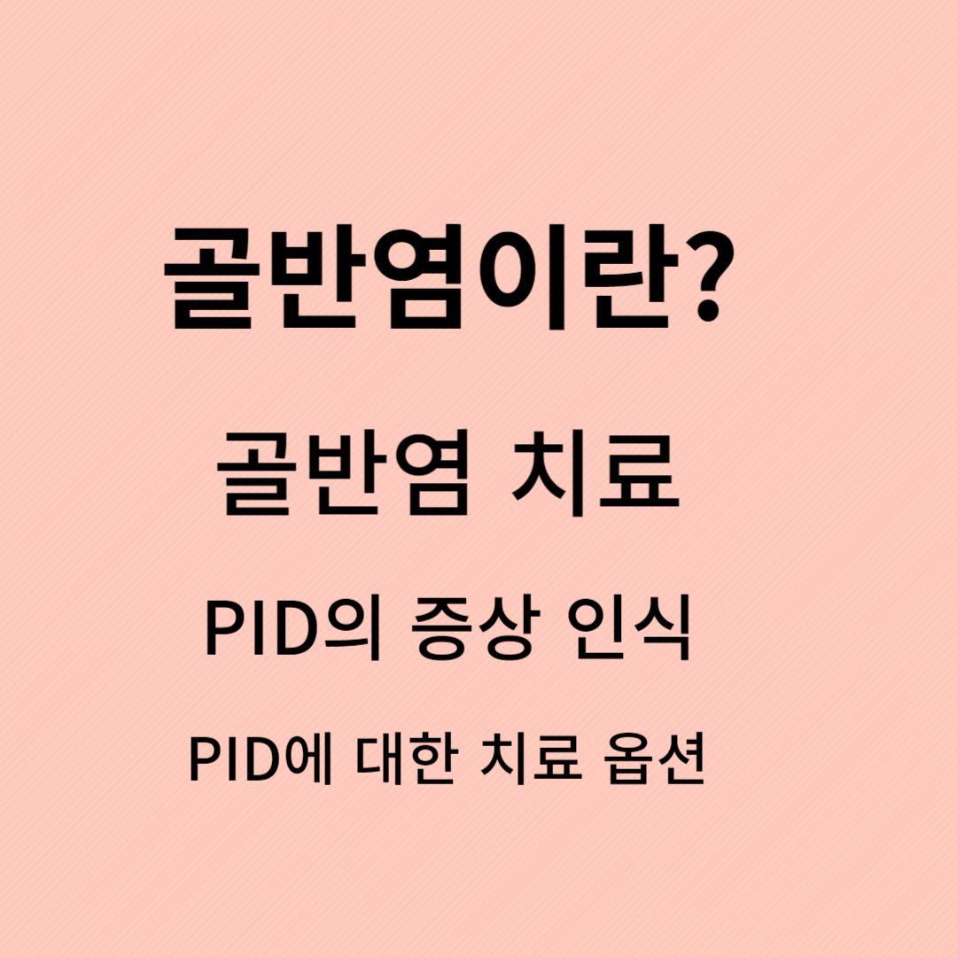 골반염&#44;골반염 증상&#44;골반염 검사&#44;골반염 원인&#44;골반염 치료&#44;골반염 통증&#44;골반염증&#44;여자 골반염