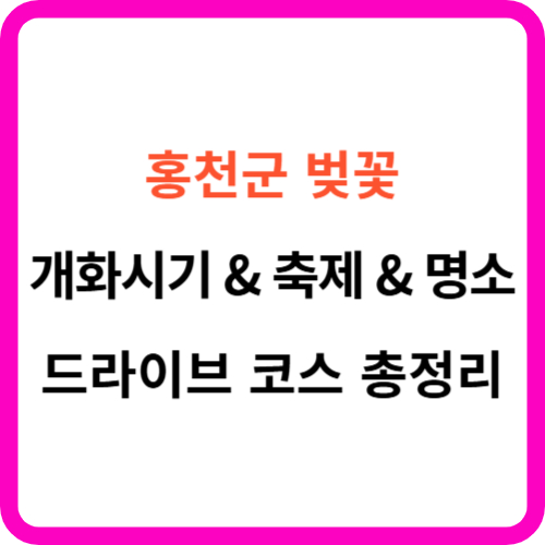 홍천 벚꽃 개화시기 축제 명소 드라이브 코스