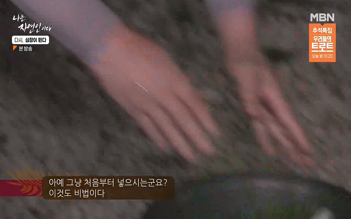 나는 자연인이다.E519.220915p-NEXT.mp4_20220915_201147.362.jpg