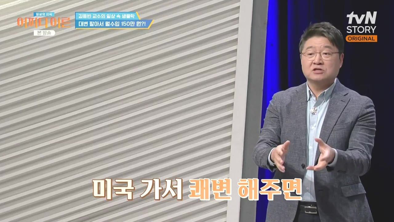어쩌다 어른.E51.240410p-NEXT.mp4_20240410_170615.995.jpg