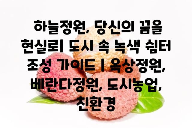 랜덤146