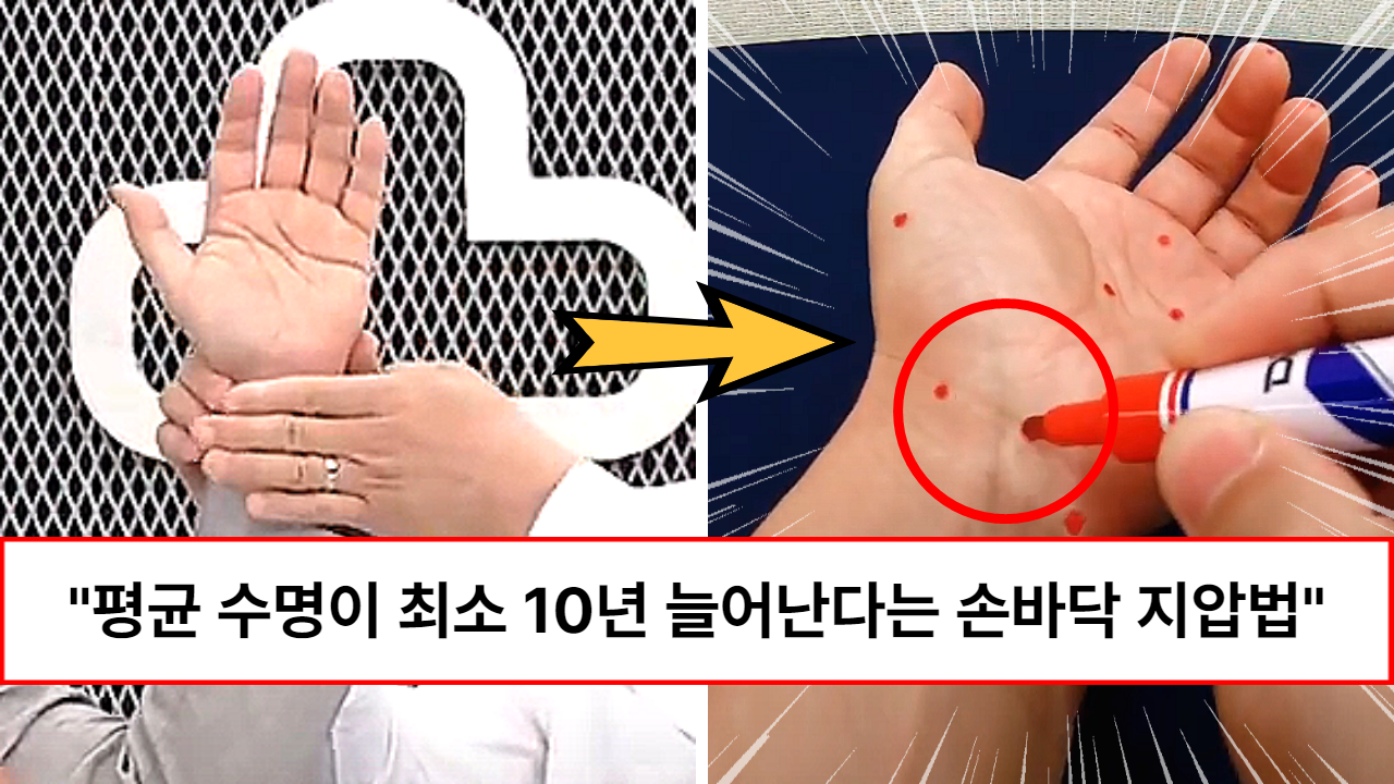 “신체 나이가 최소 10년은 젊어집니다” 하루 5분만 눌러주면 평생 병원갈 일이 없다는 손 지압법 모두 정리