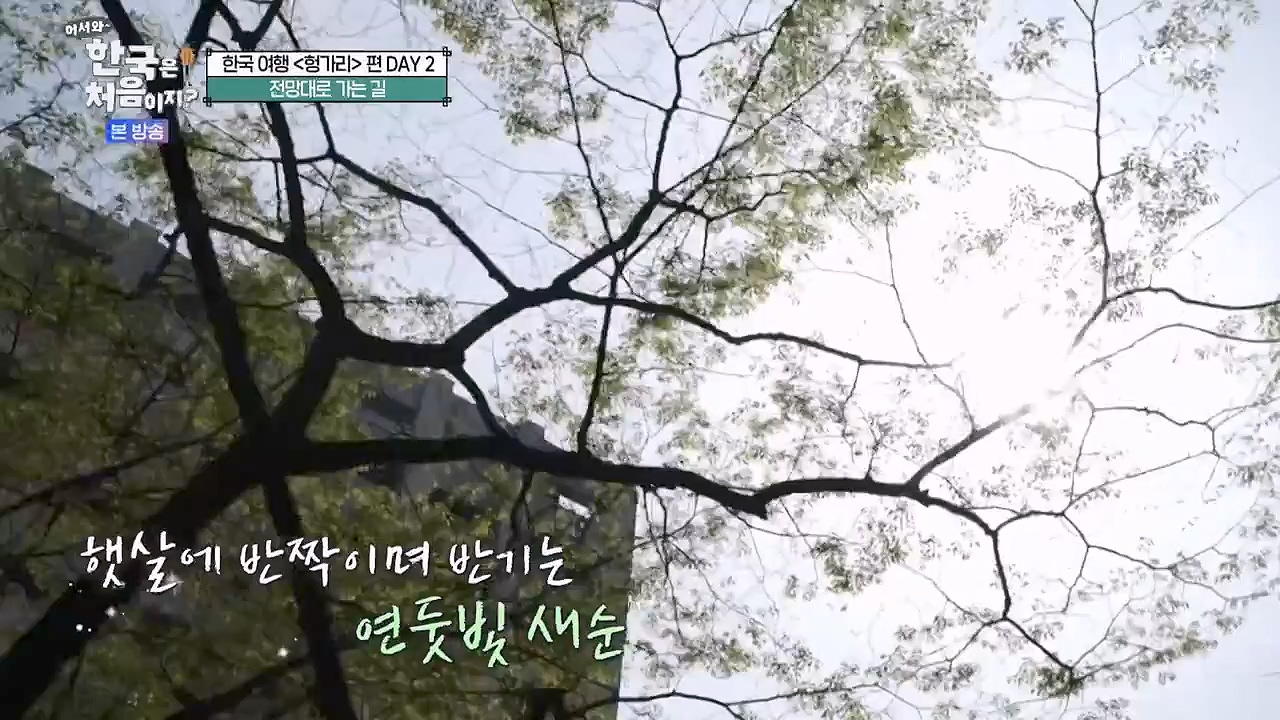 어서와 한국은 처음이지 시즌2.E317.240607p-NEXT.mp4_20240607_201721.511.jpg