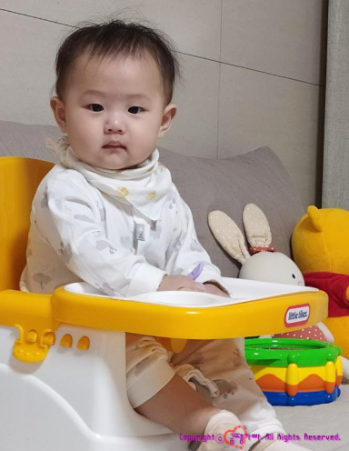  [사용후기] 리틀타익스 베이비부스터 (부스터, 아기식탁, 유아식탁) 사용후기